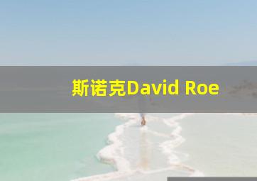 斯诺克David Roe